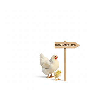 Probiotyki dla drobiu Probiotyki dla drobiu