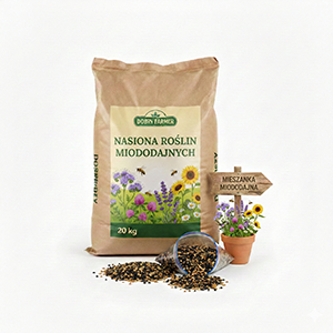 Nasiona roślin miododajnych