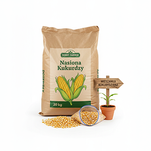 Nasiona kukurydzy