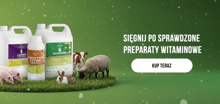 Witaminy dla zwierząt