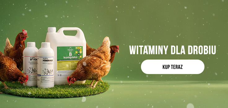 Witaminy dla drobiu