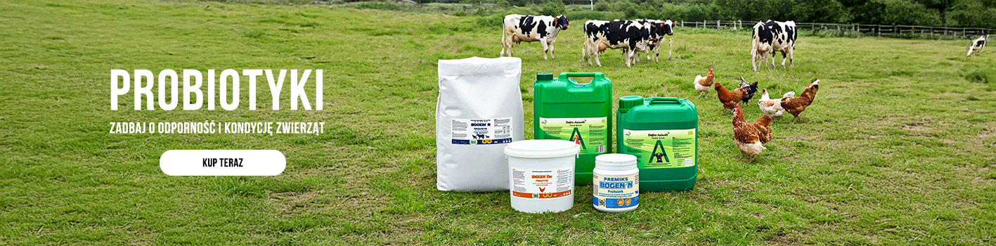 Probiotyki w hodowli – czym są, jak działają i czym różnią się od zwykłych dodatków paszowych?