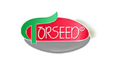 Torseed