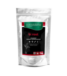 bi root 1 Kg