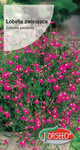 Lobelia zwisająca  ( Lobelia pendula)  - czerwona