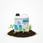 PROBIO Ogród Bacillus VIP 2 l