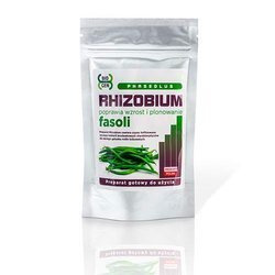 Rhizobium Fasoli (Rhizobium Phaseolus)  100g