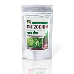 Rhizobium grochu (Rhizobium Pisum)  100g