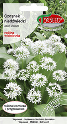 Czosnek niedźwiedzi (Allium ursinum) 0,5g