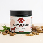 ANIMALACTIN FORTE STAWY dla dużych psów z MicroLactin®