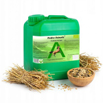 Probiotyk dla koni – Doktor Animals 5l