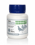 TRANS FEED FLYVET VITAMINS 100ml - Witaminy dla Gołębi.