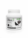 TRANS FEED FLYVET VITAMINS 200 g - Białko dla Gołębi.