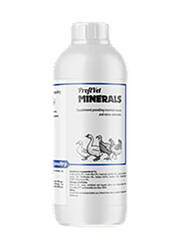 TRANS FEED ProfiVet MINERALS 1 L - Witaminy i minerały